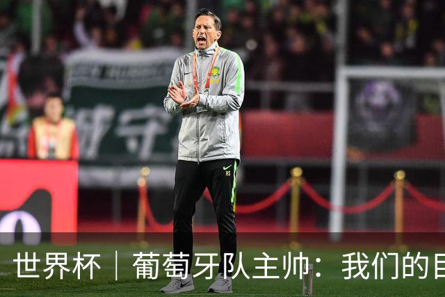 世界杯｜葡萄牙队主帅：我们的目标是打满八场比赛