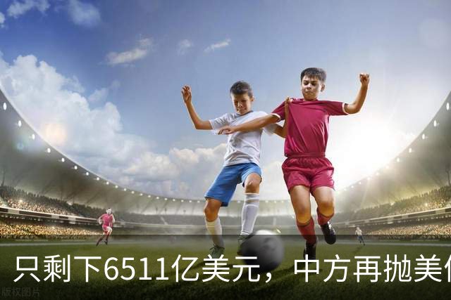 只剩下6511亿美元，中方再抛美债后离场，最大接盘国家浮出水面