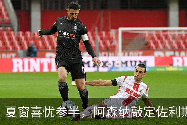 夏窗喜忧参半，阿森纳敲定佐利斯，错失罗杰斯，吉马良斯谈判遇阻