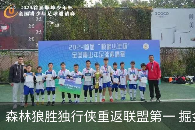 森林狼胜独行侠重返联盟第一 掘金胜篮网3连胜