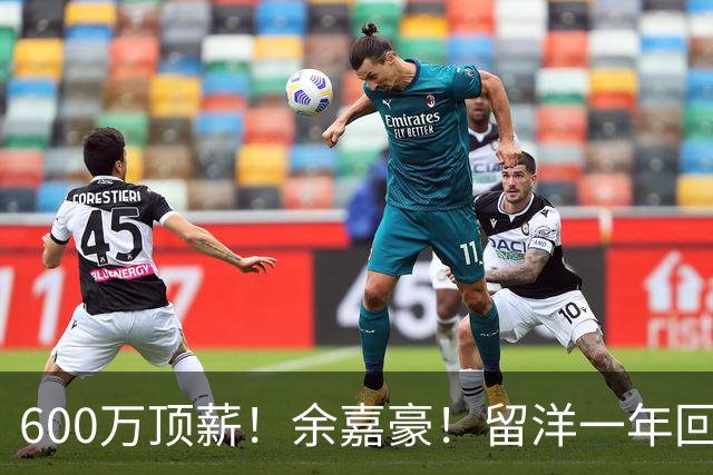 600万顶薪！余嘉豪！留洋一年回浙江